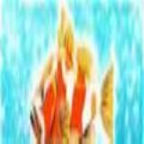 Dwonload Fishfarm Hawai Cell Phone Game